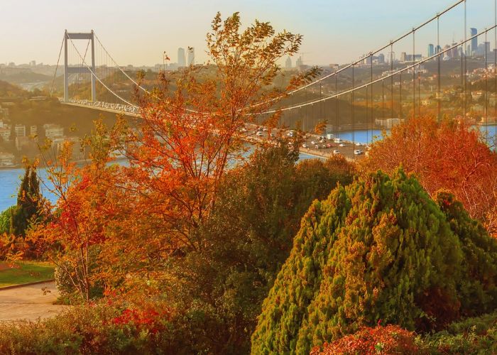 Đặc trưng của mùa thu Thổ Nhĩ Kỳ là sắc lá vàng đỏ. Ảnh: Tràng An Travel