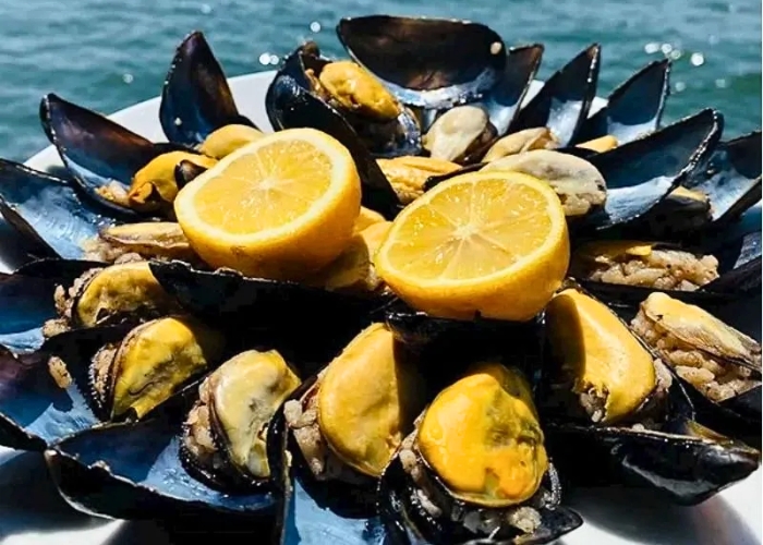 Vùng biển Aegean – Địa Trung Hải chủ yếu là hải sản tươi sống. Ảnh: Saigontimes Travel