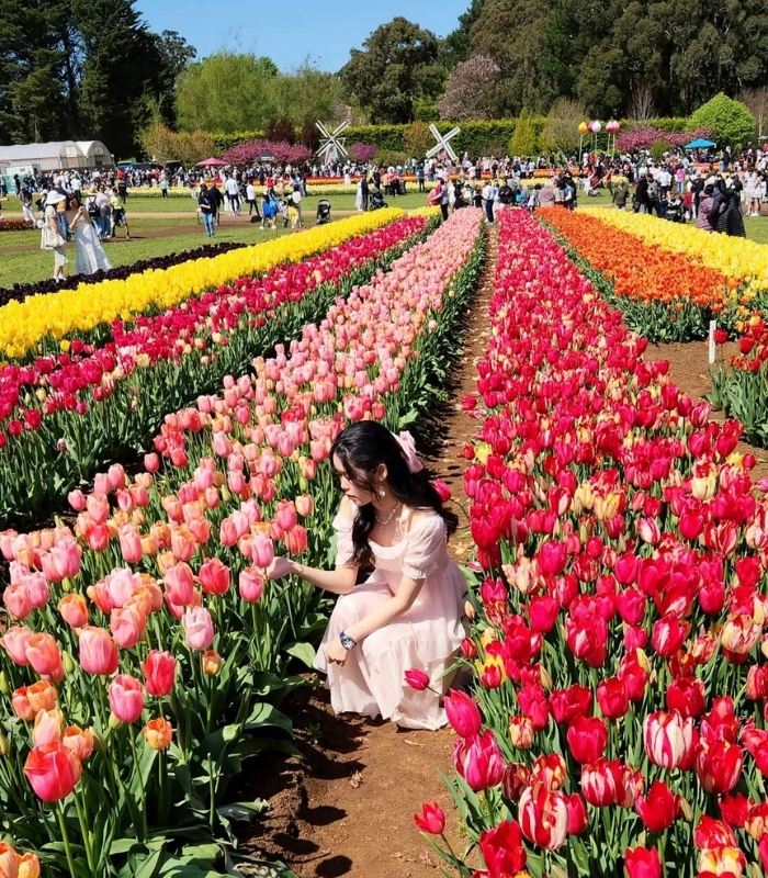 Lưu ý khi tham quan và chụp ảnh. Ảnh: jenickaly