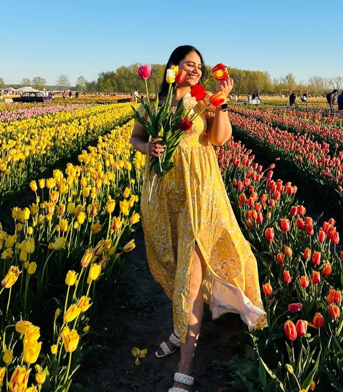 Hoa tulip trong văn hóa Thổ Nhĩ Kỳ. Ảnh: surabhi.upadhyay