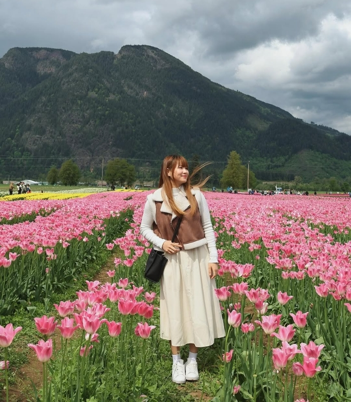 Thời gian tổ chức lễ hội hoa Tulip. Ảnh: nicolelifee.ca