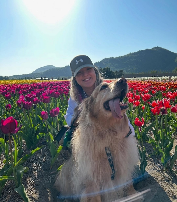 Những hoạt động nổi bật trong lễ hội hoa tulip. Ảnh: its__hafah