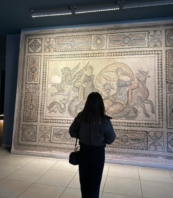 Chủ đề trong tranh mosaic. Ảnh: mervekalkaan