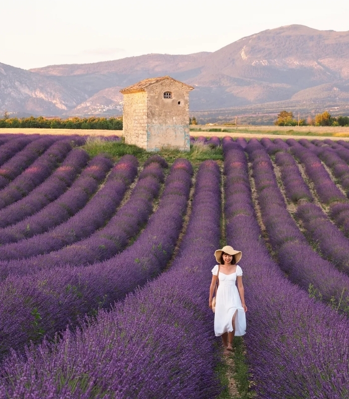 Cánh đồng Lavender Thổ Nhĩ Kỳ. Ảnh: faultiertravel