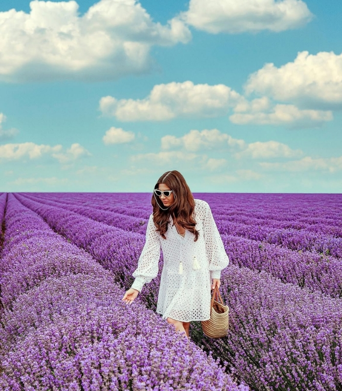Mua sắm đặc sản lavender địa phương. Ảnh: larisacostea
