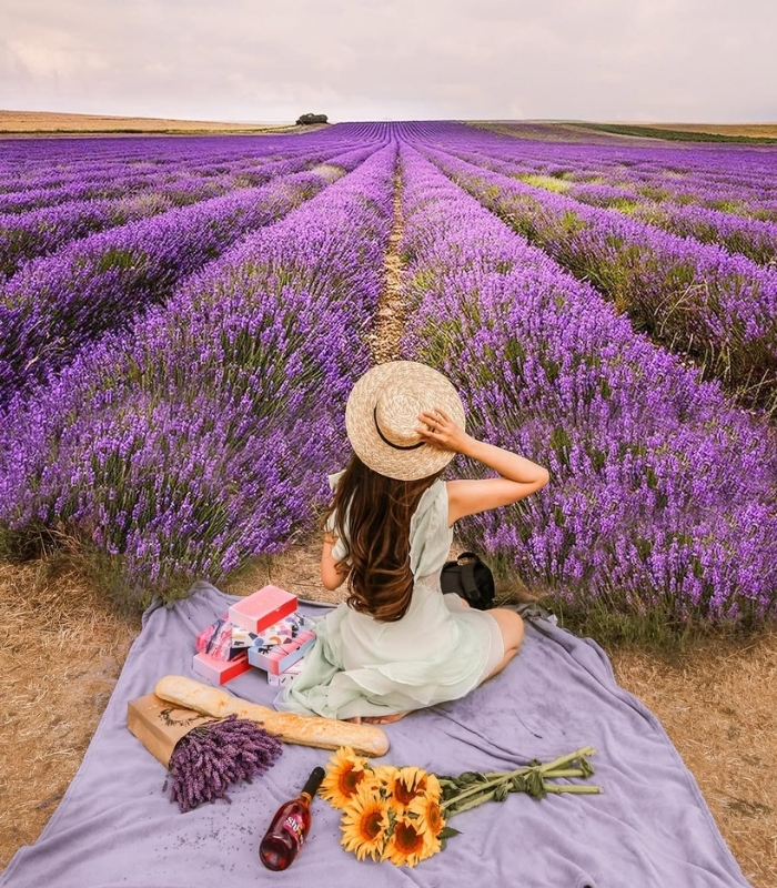 Kinh nghiệm du lịch cánh đồng Lavender Thổ Nhĩ Kỳ. Ảnh: nicootan