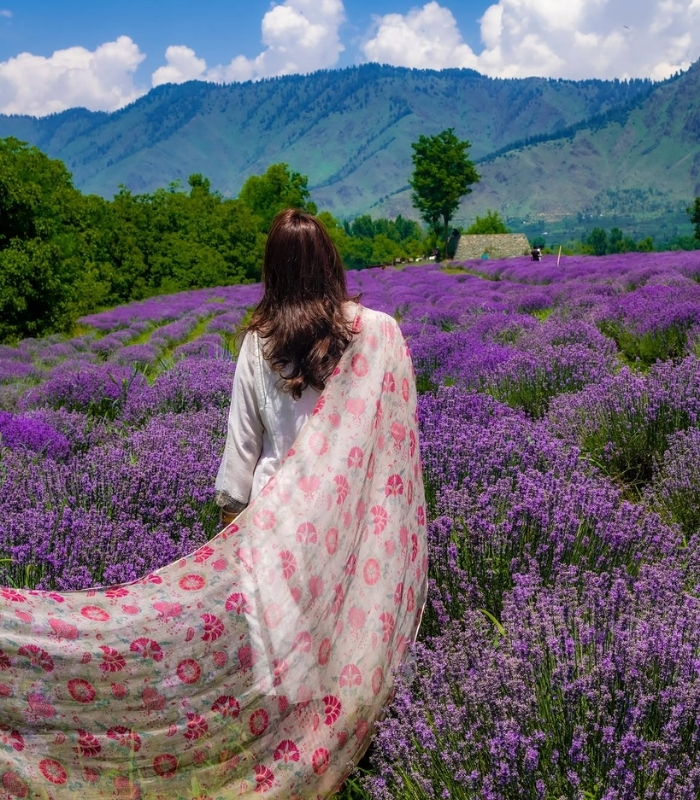 Làng Lavender Kuyucak. Ảnh: sinhakounteya
