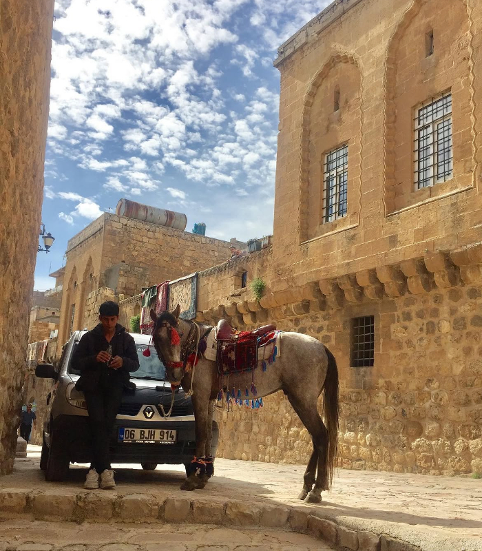 Kiến trúc đá đặc trưng của Mardin. Ảnh: cetinugr